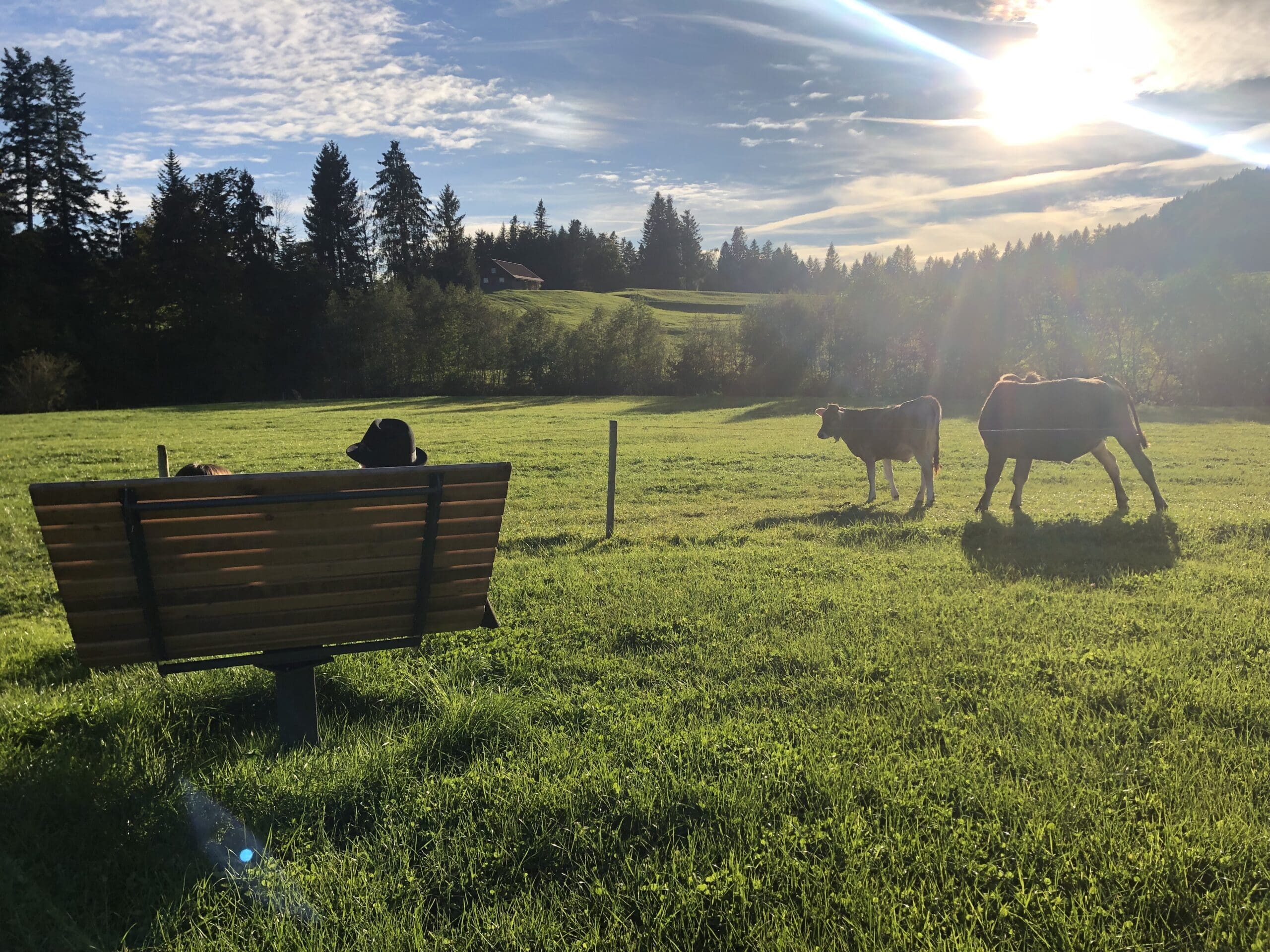 EIBELE-CHALETS_Oberstaufen_Home2-Sommer